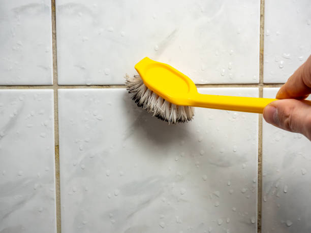 Best Mold Removal Company Near Me  in New Market, AL