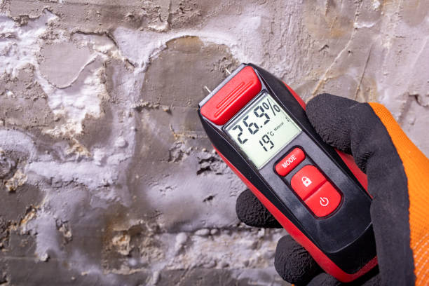Mold Testing and Removal in New Market, AL
