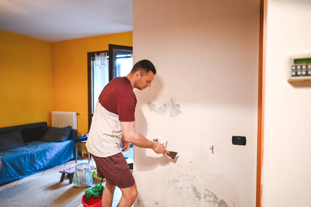 Best Attic Mold Removal  in New Market, AL